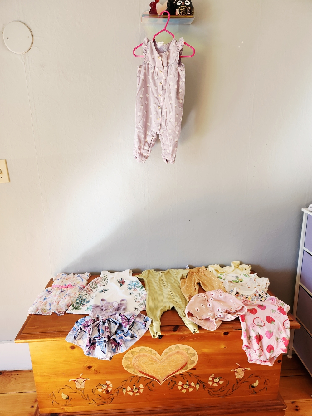 3-6 Baby Girl Flower, Fruit, and Butterfly Bundle